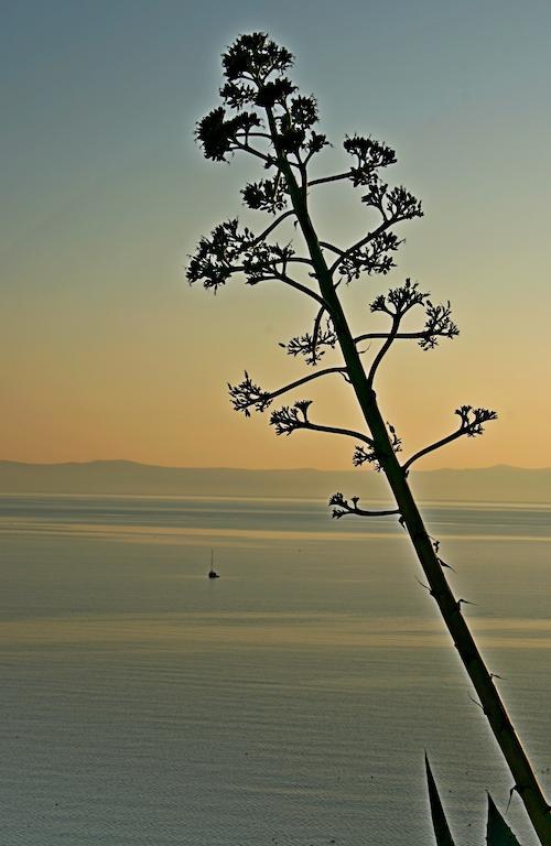 Idyllic Villa Marieta With Private Pool And Unforgettable View Makarska Exterior photo